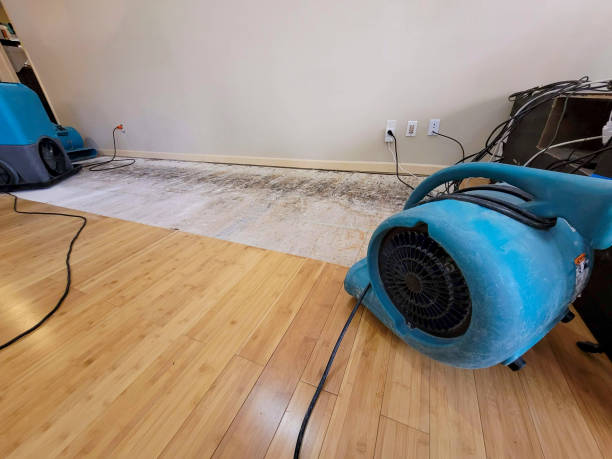 Professional Structural Drying technician working in Mount Hamilton, CA